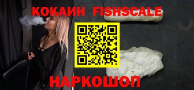 шишки Владимир