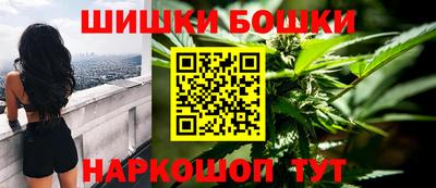 шишки Владимир