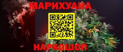 шишки Владимир