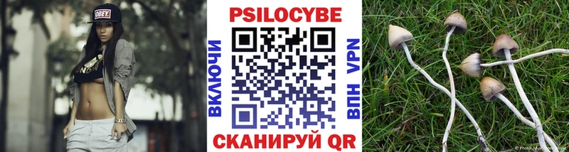 Галлюциногенные грибы Magic Shrooms продажа наркотиков Верхняя Пышма