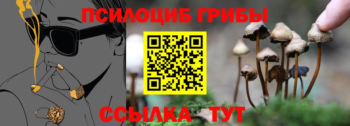 Верхняя Пышма  Галлюциногенные грибы Magic Shrooms  Вход с VPN  Псилоцибиновые грибы MAGIC MUSHROOMS 